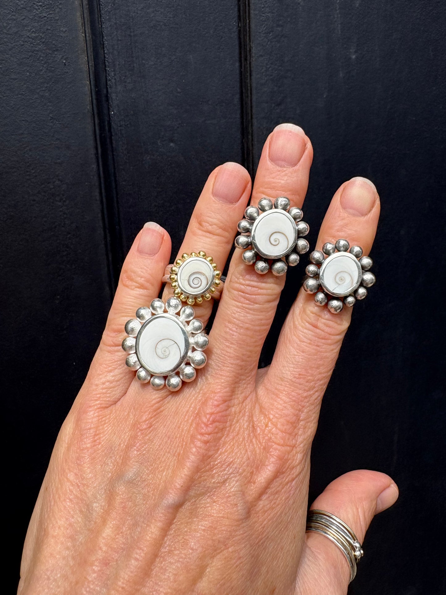 Big Courtesan Operculum Ring