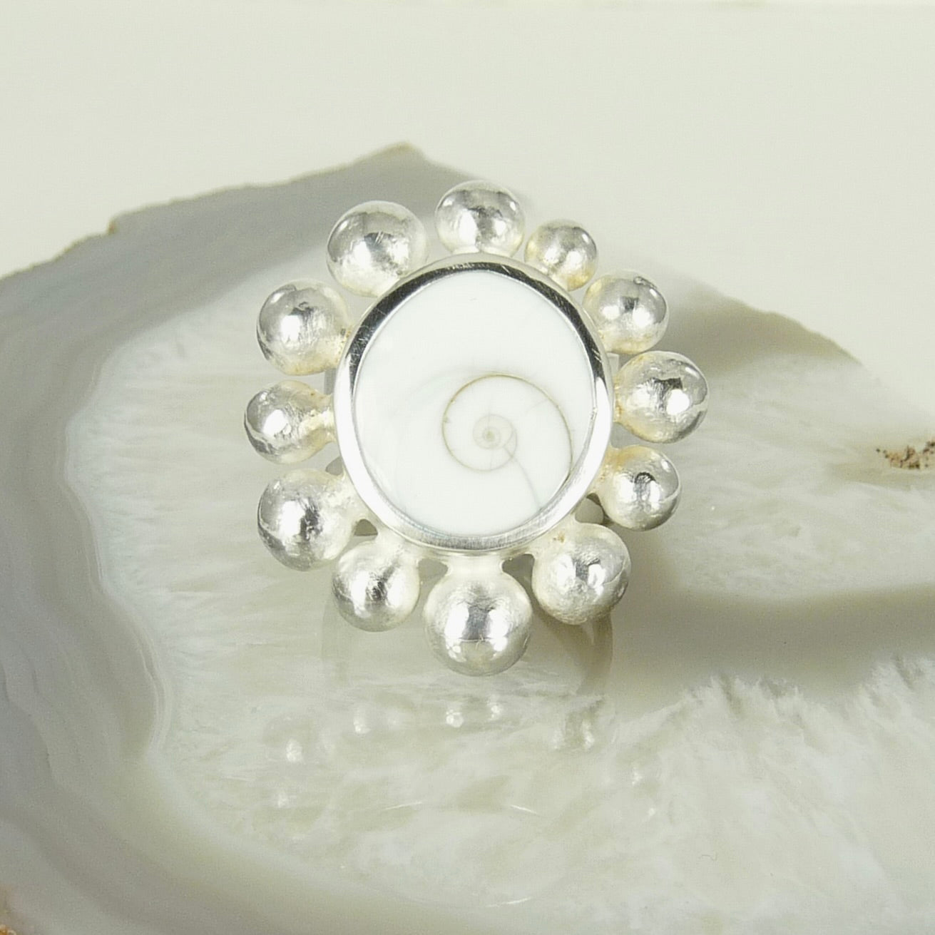 Giant Courtesan Ring With Operculum And Silver
