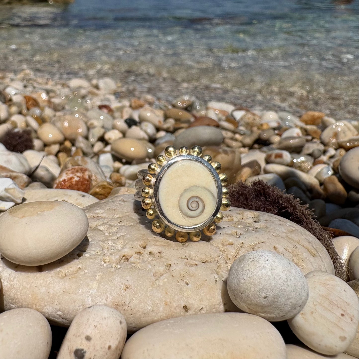 Operculum Shell Courtesan Ring, Silver and Gold