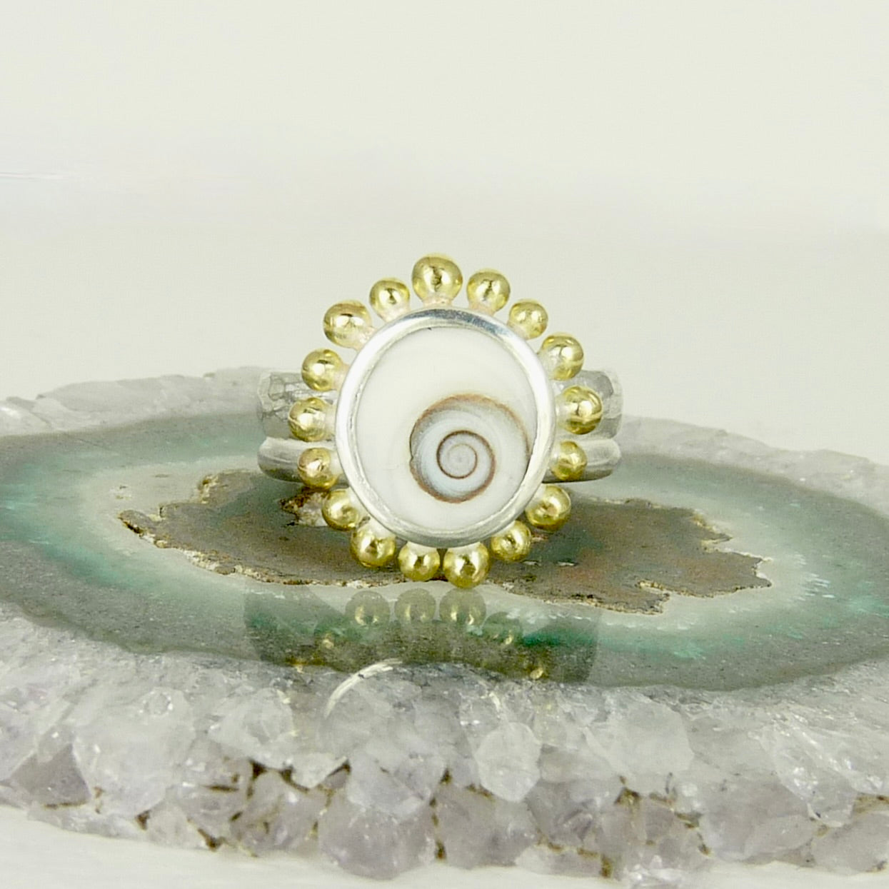 Operculum Shell Courtesan Ring