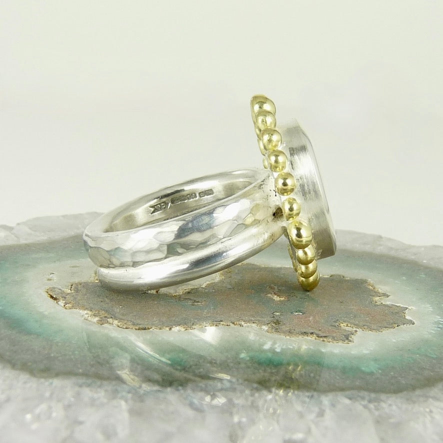 Operculum Shell Courtesan Ring