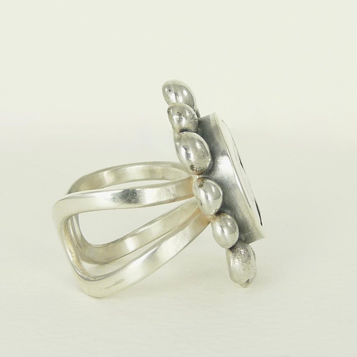 Giant Operculum Courtesan Ring