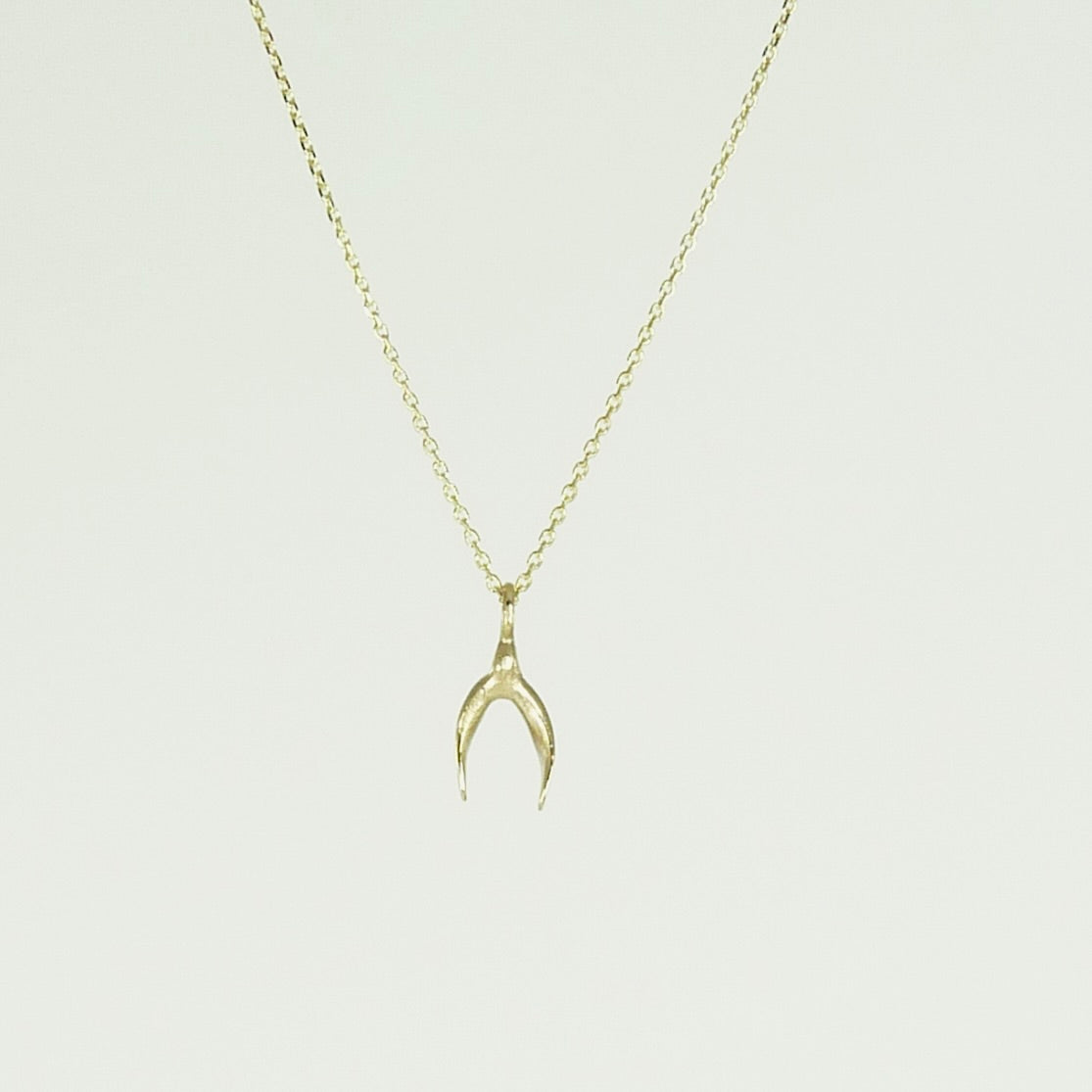 Delicate Gold Wishbone Necklace